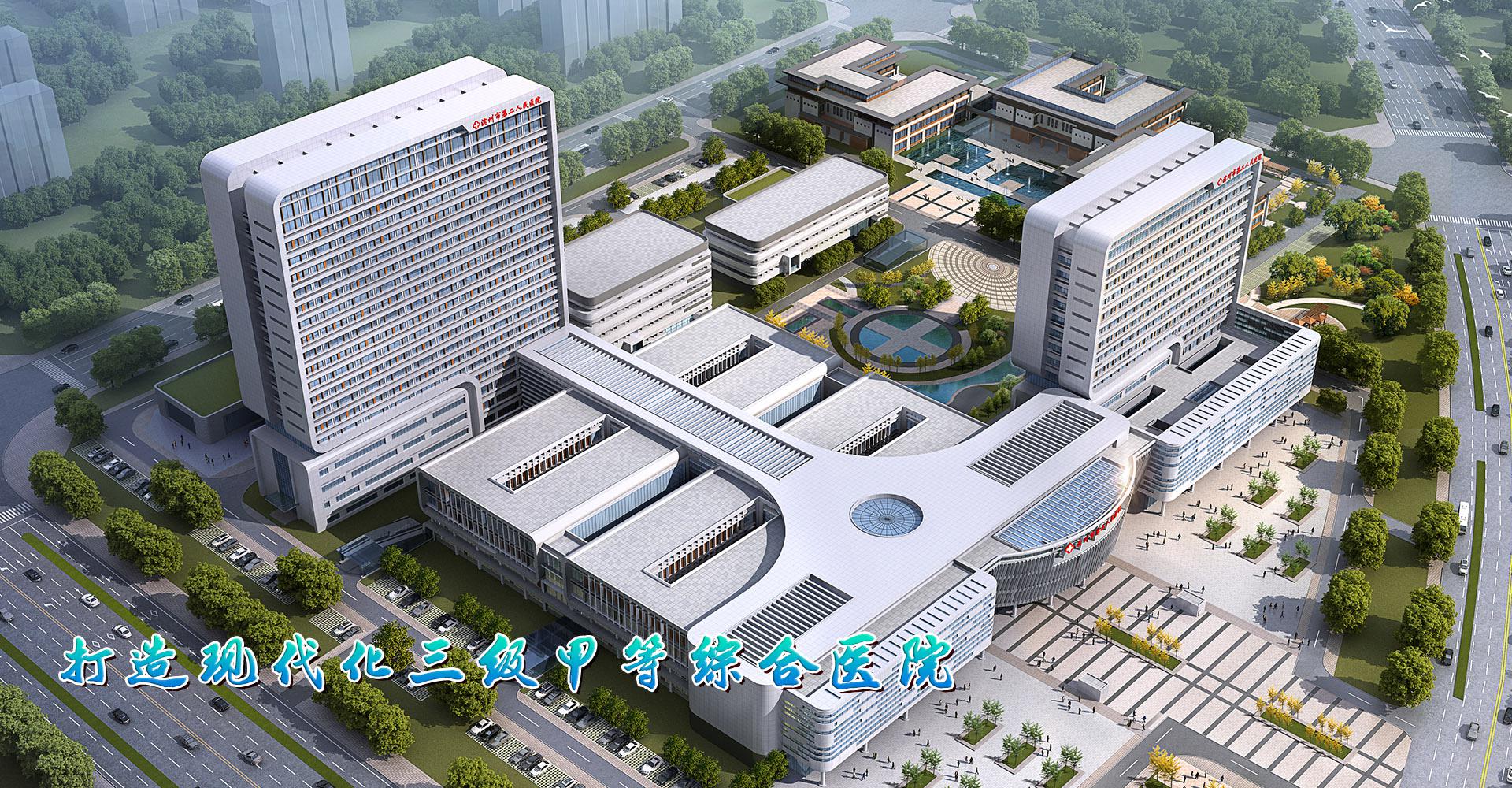 滨州市第二人民医院妇幼保健院信息化建设项目